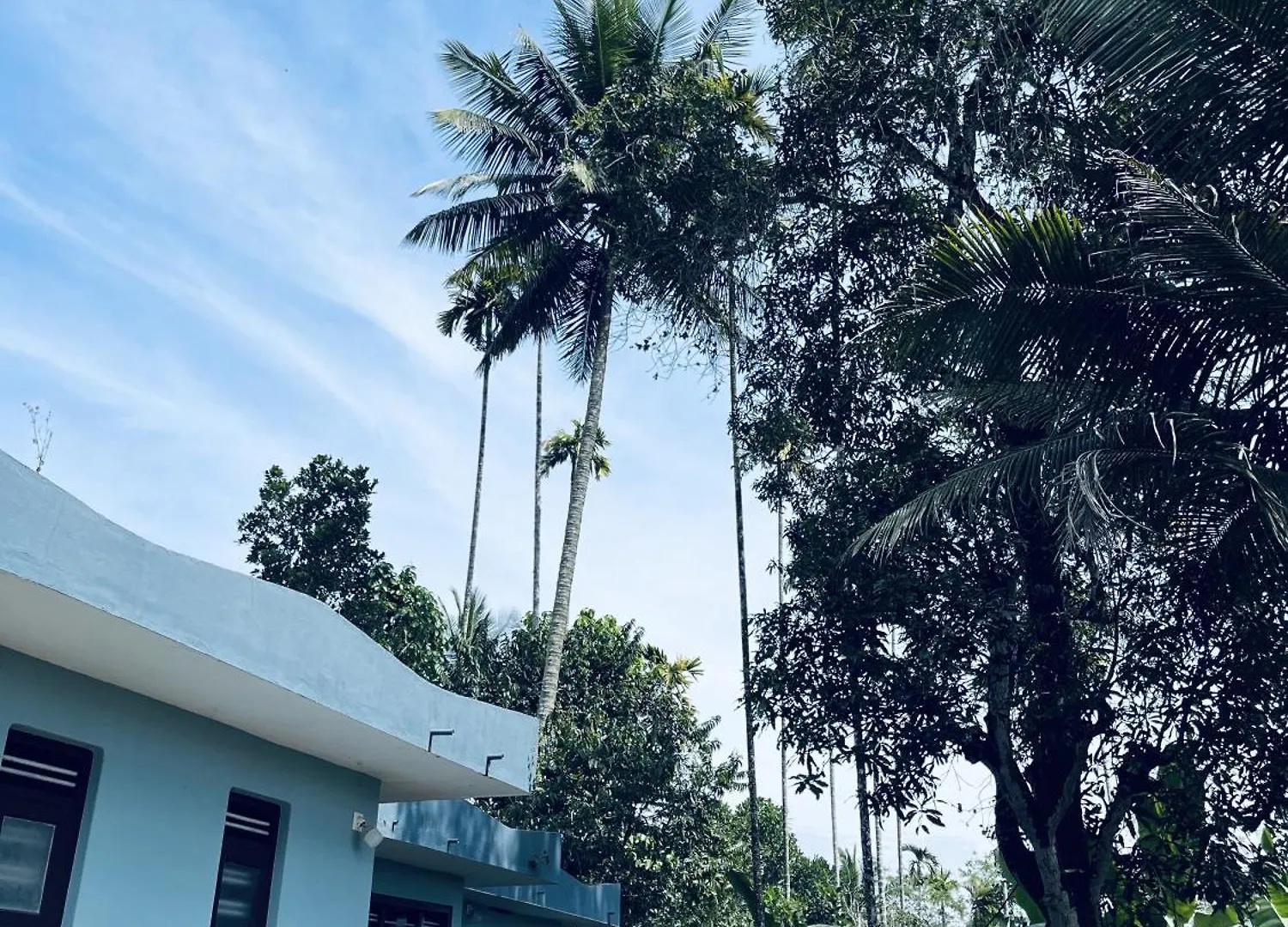 度假居 Sara'S Vintage Home Meenangadi 印度