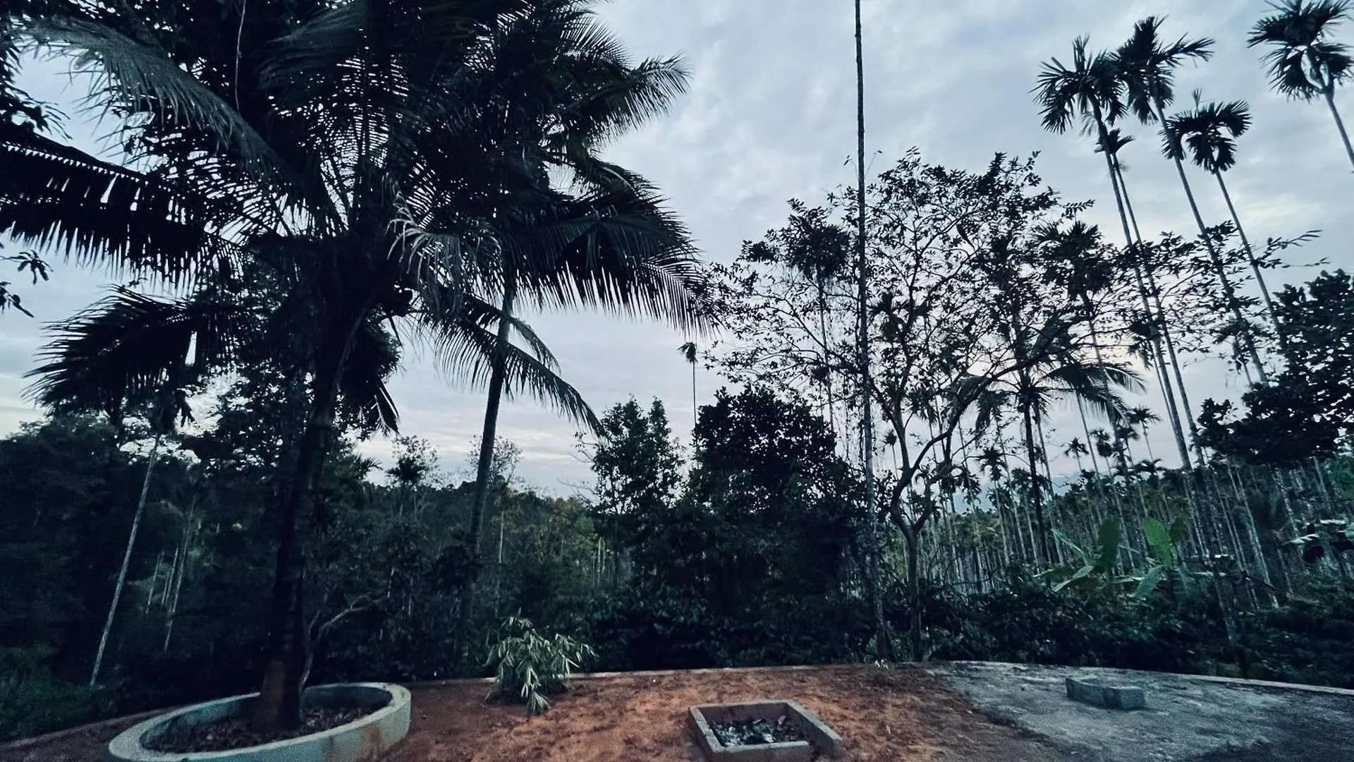 Sara'S Vintage Home Meenangadi 0*,